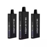 Pod Descartável V55 Ultra Thin - 5500 Puffs | Ignite - Blueberry Ice - 50mg/mL